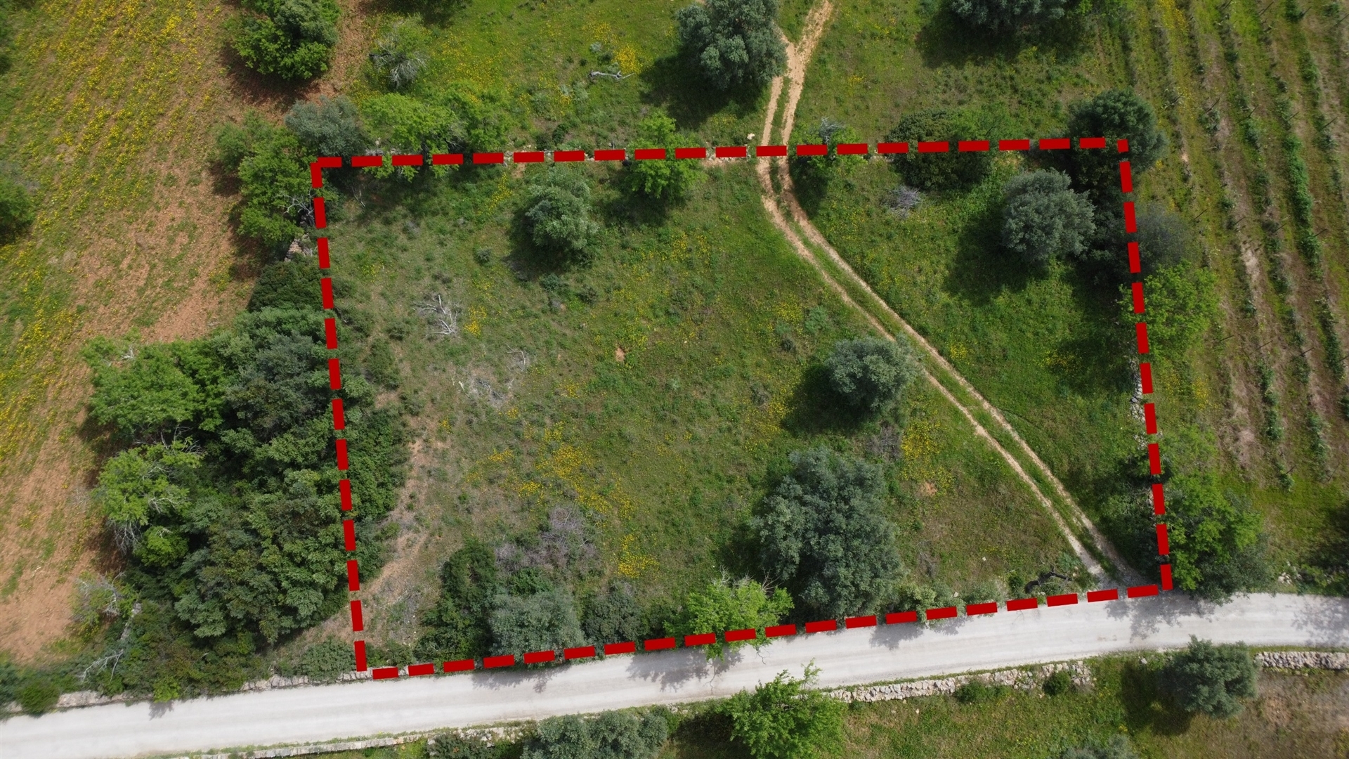 Terreno Rústico  Venda em Moncarapacho e Fuseta,Olhão